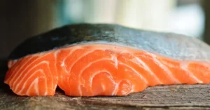 can dogs eat salmon