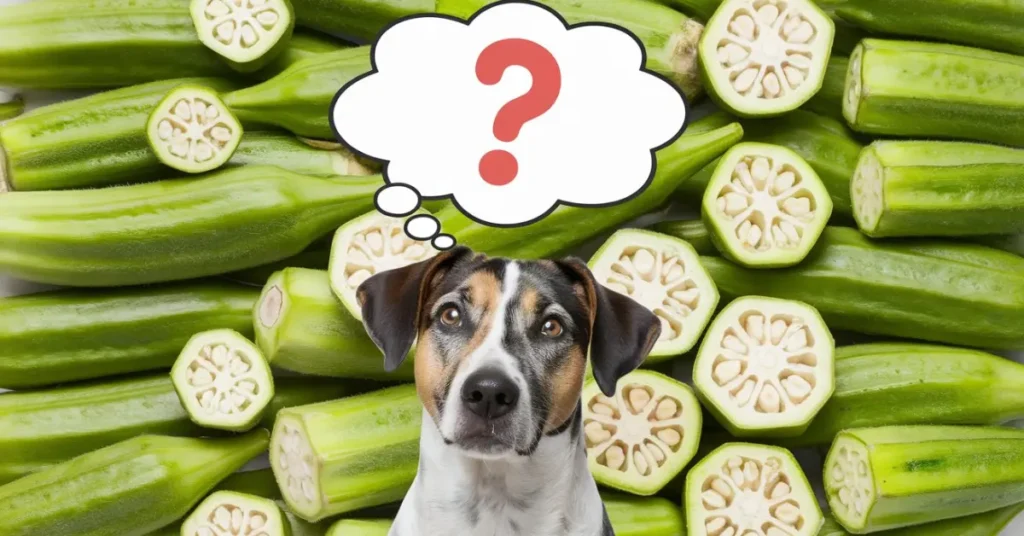 can dogs eat okra