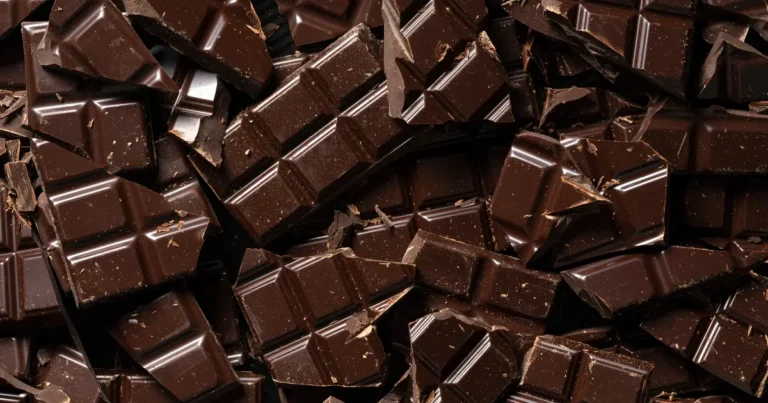 can cats have chocolate