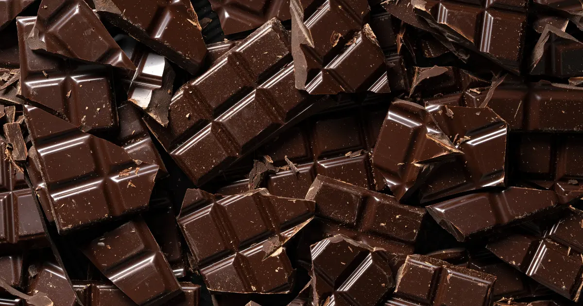 can cats have chocolate