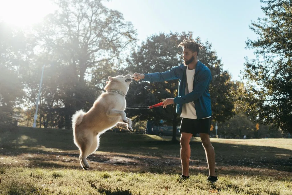 Dog training San Diego