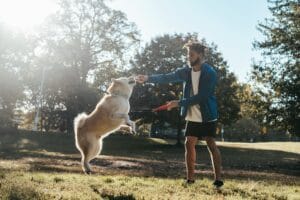 Dog training San Diego